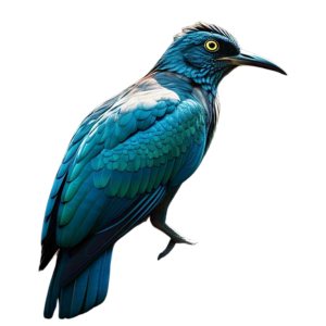 burung