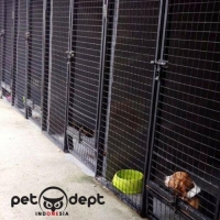 PENITIPAN ANJING / SEWA KENNEL BULANAN MURAH TERJANGKAU