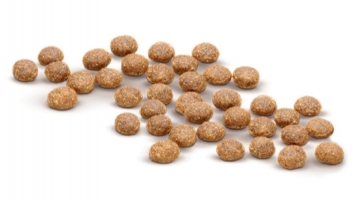 Bravo Puppy Makanan Anak Anjing Dog Food Royal Canin Dog REPACK 1 KG