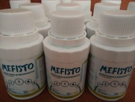 Mefisto desinfektan ampuh