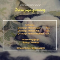 grooming kucing panggilan