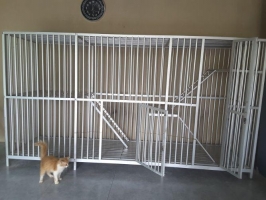 Kandang kucing stenless