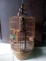 Anis merah ring bogana ppn 340