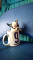 1 ekor anakan chihuahua betina tea cup stb 2 bulan