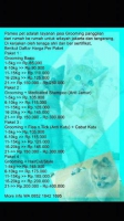 Grooming dan salon hewan panggilan jakarta